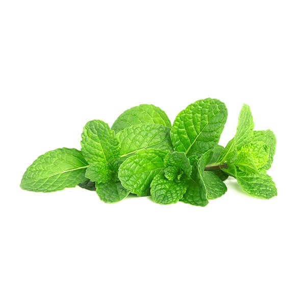munt-per-20-gram.jpg