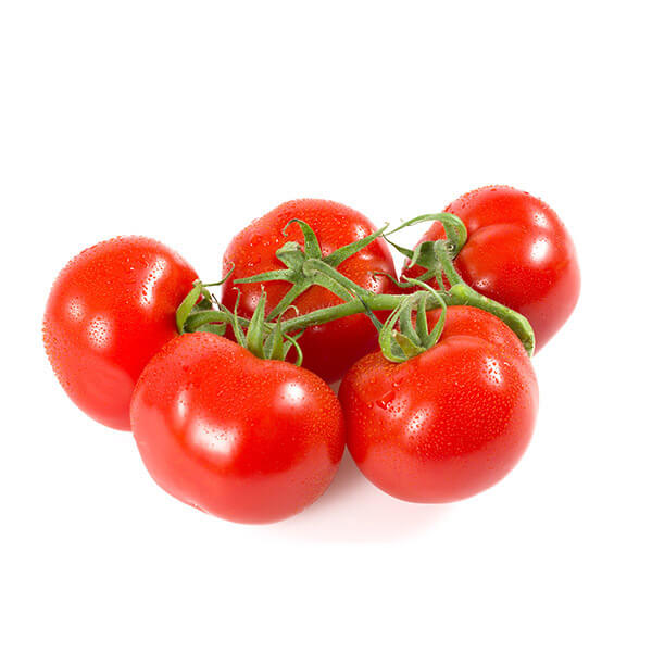 tros-tomaat-holland.jpg