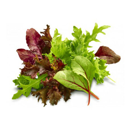 Baby Leaf Slamix (Mesclun) 125 gr